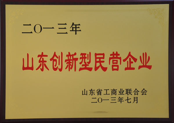 山東創(chuàng)新型民營(yíng)企業(yè)